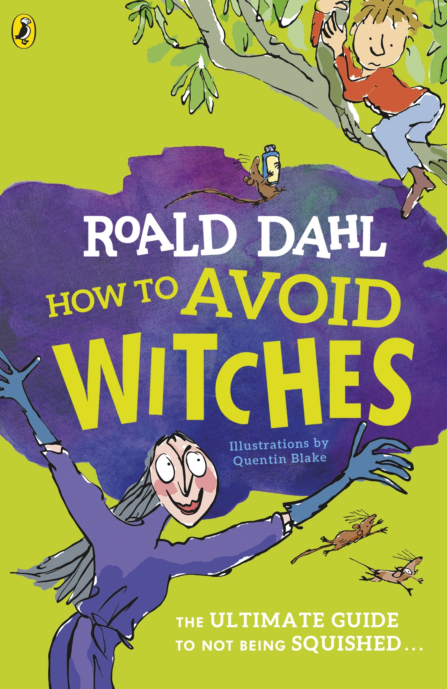 Roald dahl book the promo witches